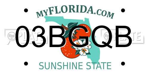 03BGQB Florida License Plate