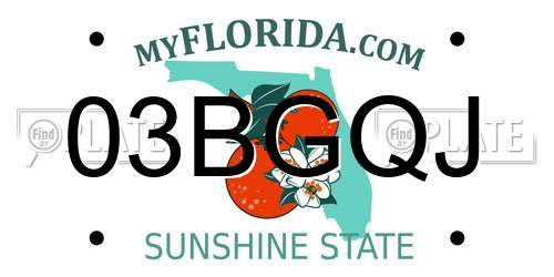 03BGQJ Florida License Plate