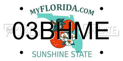 03BHME Florida License Plate