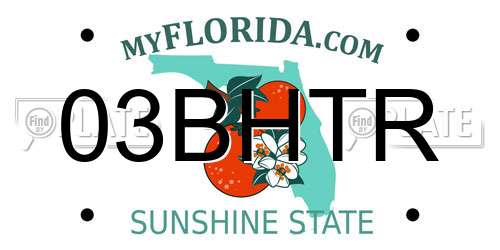 03BHTR Florida License Plate