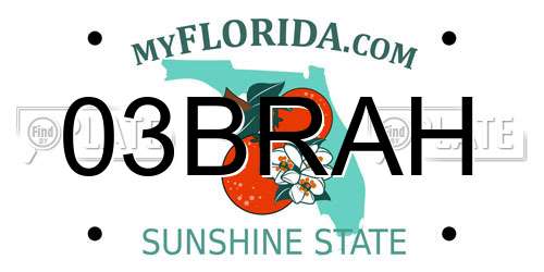 03BRAH Florida License Plate