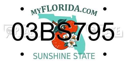 03BS795 Florida License Plate