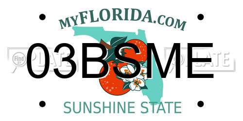 03BSME Florida License Plate