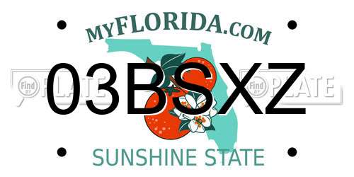 03BSXZ Florida License Plate