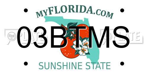 03BTMS Florida License Plate
