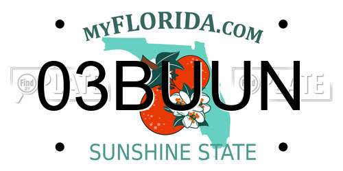 03BUUN Florida License Plate
