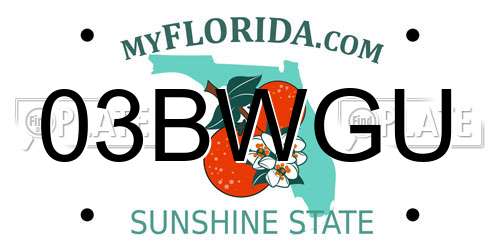 03BWGU Florida License Plate