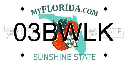 03BWLK Florida License Plate