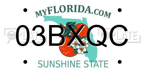 03BXQC Florida License Plate