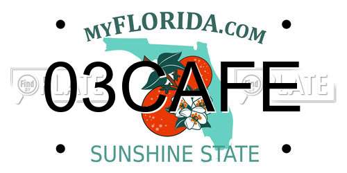 03CAFE Florida License Plate