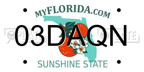 03DAQN Florida License Plate