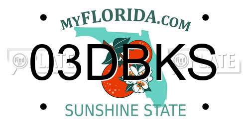 03DBKS Florida License Plate