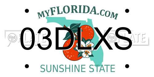 03DLXS Florida License Plate