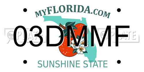 03DMMF Florida License Plate