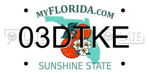 03DTKE Florida License Plate