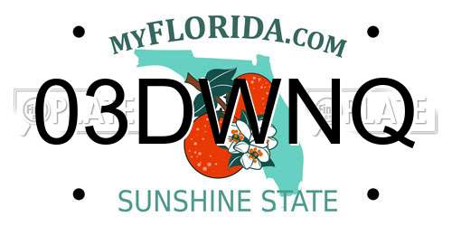 03DWNQ Florida License Plate