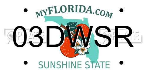03DWSR Florida License Plate