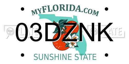 03DZNK Florida License Plate