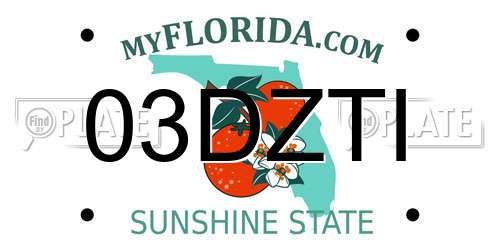 03DZTI Florida License Plate