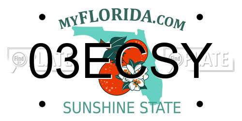 03ECSY Florida License Plate