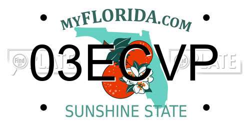 03ECVP Florida License Plate