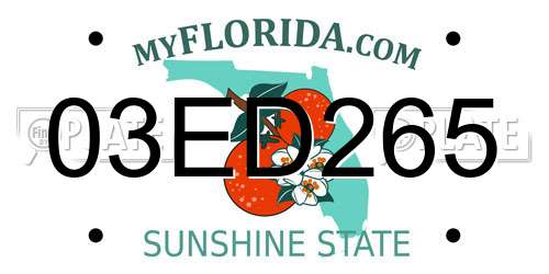 03ED265 Florida License Plate