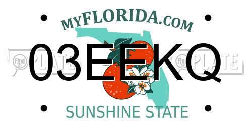 03EEKQ Florida License Plate