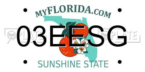 03EESG Florida License Plate