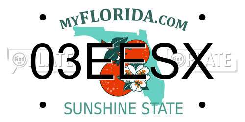 03EESX Florida License Plate