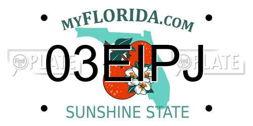 03EIPJ Florida License Plate
