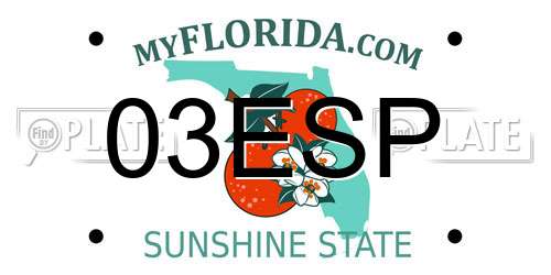 03ESP Florida License Plate
