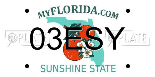 03ESY Florida License Plate