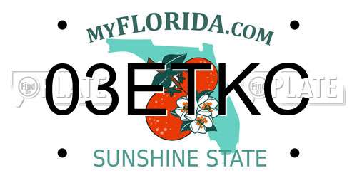 03ETKC Florida License Plate