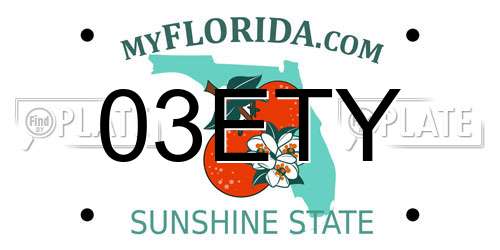 03ETY Florida License Plate