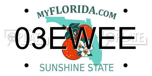 03EWEE Florida License Plate