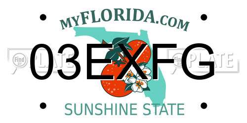 03EXFG Florida License Plate