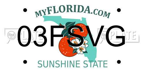 03FSVG Florida License Plate