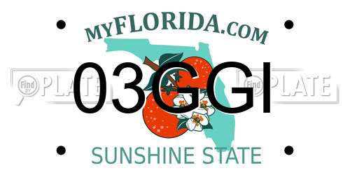 03GGI Florida License Plate
