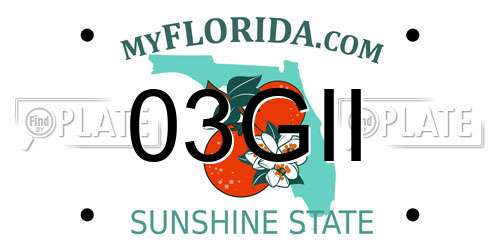 03GII Florida License Plate