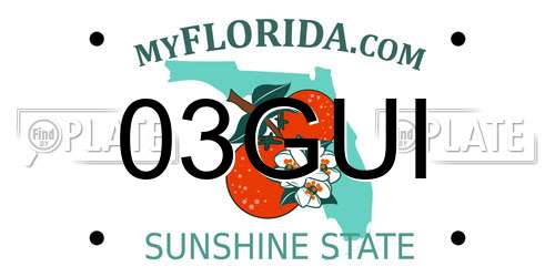 03GUI Florida License Plate