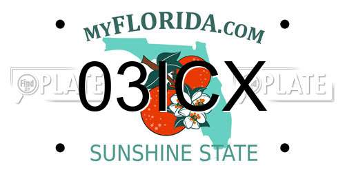 03ICX Florida License Plate
