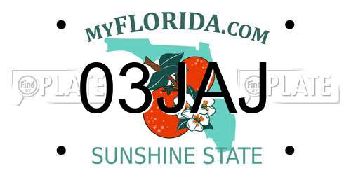03JAJ Florida License Plate