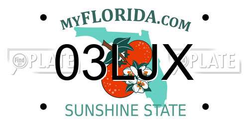 03LJX Florida License Plate