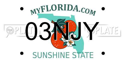 03NJY Florida License Plate