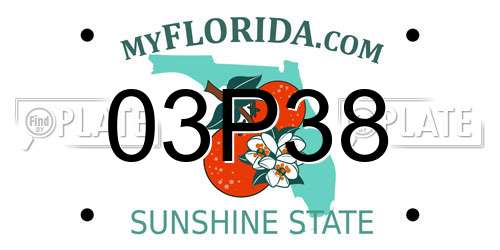 03P38 Florida License Plate