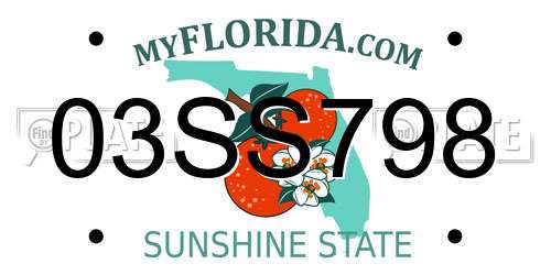 03SS798 Florida License Plate