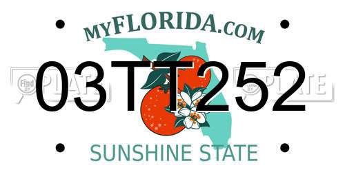 03TT252 Florida License Plate