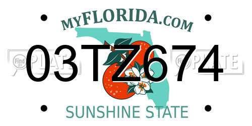 03TZ674 Florida License Plate