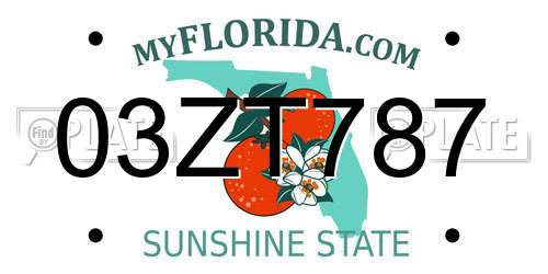 03ZT787 Florida License Plate