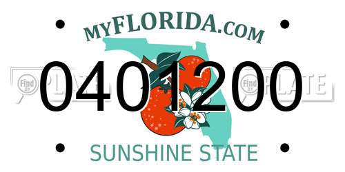 0401200 Florida License Plate